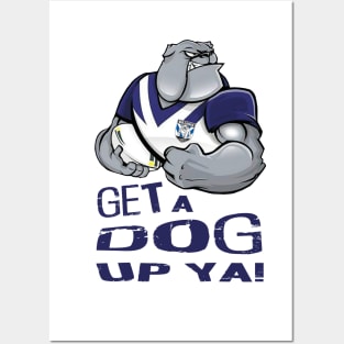 Canterbury Bulldogs - GET A DOG UP YA! Posters and Art